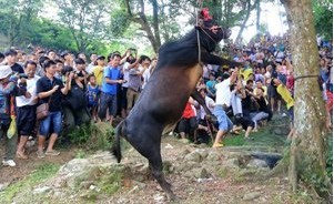 《龍拓視野》廣西壯族傳統(tǒng)的“鬧魚節(jié)”